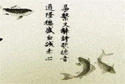梦到自己给宝宝喂奶是什么意思
